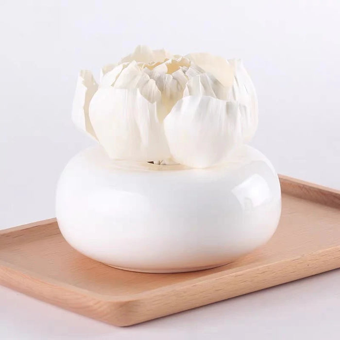 DIFUSOR DE AROMA DE PORCELANA