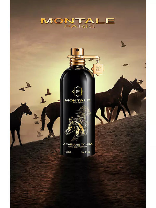 MONTALE ARABIANS TONKA