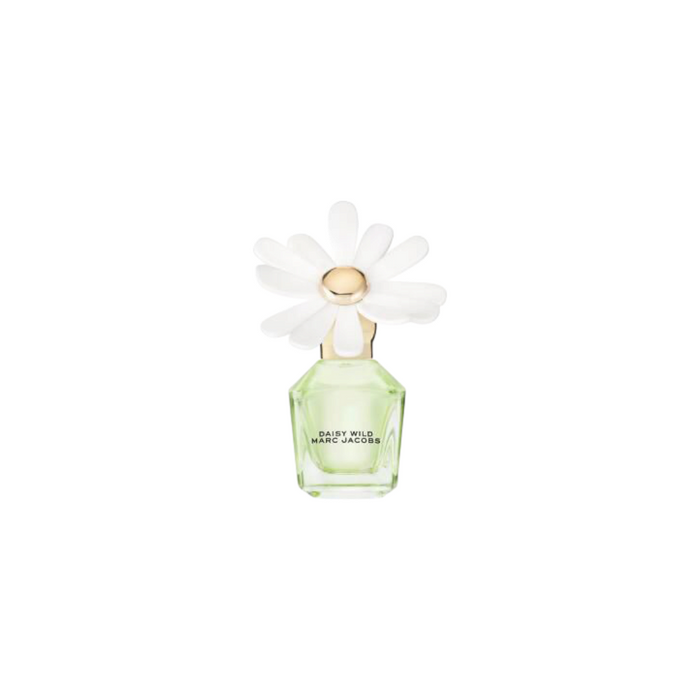 MINI DAISY WILD (SIN CAJITA)
